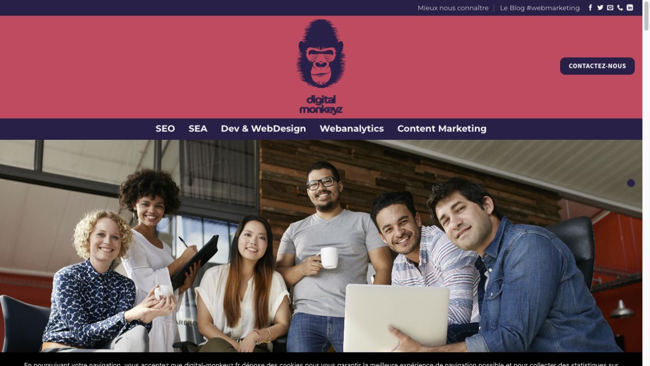 Capture du site digital monkeyz